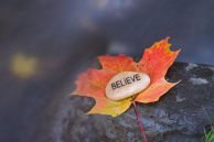 iStock_000002290152XSmall